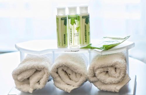 Natchez Hotel | Holiday Inn Express Natchez South West by IHG
