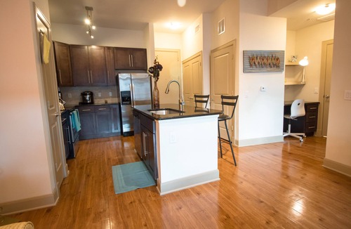 Texas Medical Center Apartment | Houston Modern Apt Pool View NRG DISCOUNTED
