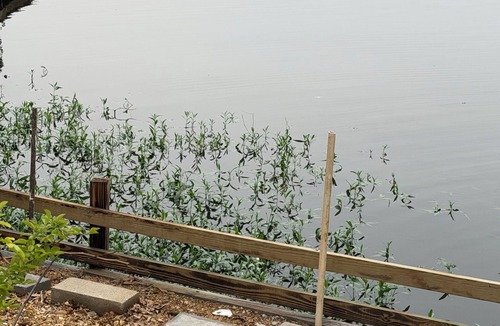 Downsville Cabin | Lake front Cozy 3- br Boat Ramp Outdoor kitchen New pier n 20x20 deck Porch