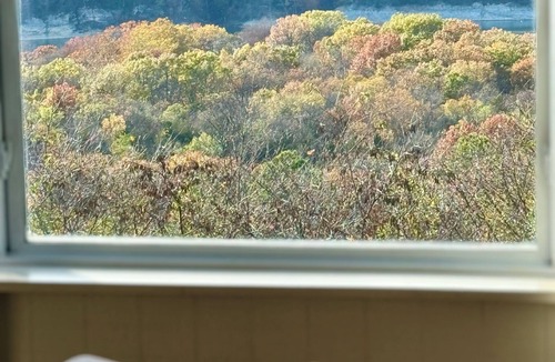 Pettit Cabin | Lakeview Sunset Oasis Retreat on Pettit Mt near Tahlequah, 4 min drive to lake