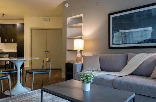 South Lamar Apartment | Landing Modern Apartment with Amazing Amenities (ID5077X1)