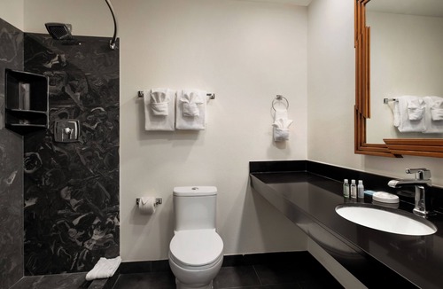 French Quarter Hotel | Le Richelieu Hotel