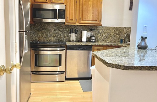Texas Medical Center Apartment | Med 2BDR 2Bth 2 KgBD NRG DT Zoo Galleria Pool 4KTV