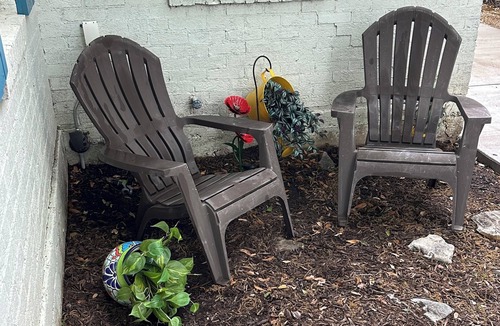 Fort Worth House | Meet Bee Agape: Kitschy Cottage, Wow-y yard! ~1 mile to TCU; 25 mins to Cowboys!