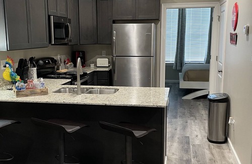 Downtown Condo | New Condo - Sleeps 4 - Downtown Lafayette! #308