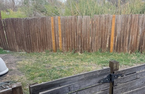 Windsor Park House | Peaceful Austin Retreat, Patio, Near Downtown & UT