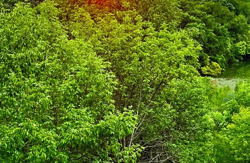 River Oaks House | Perched atop a bluff overlooking the expansive views! Near Stockyards, Dickies