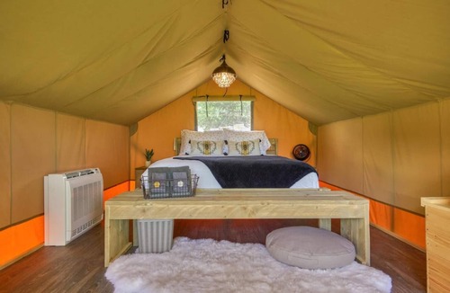 Navasota RV Rental | Pet-Friendly Glamping on a Honey Farm