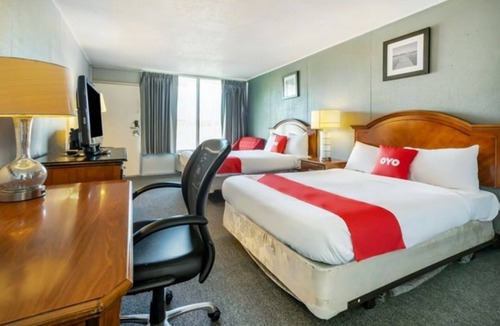 Jennings Hotel | Practical King Room Great for Pet Owners Close to Jennings Dining