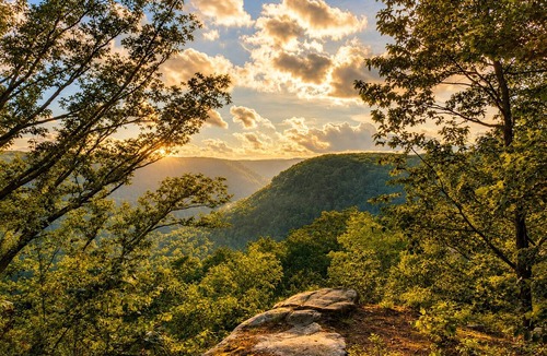 Sequatchie Cabin | Private Off-Grid Cabin on a Bluff