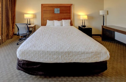 Duncanville Hotel | Quiet & Affordable Room w/Free Parking Near Dallas Zoo – Just 8 Miles away