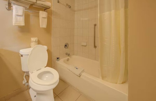 Duncanville Hotel | Quiet & Affordable Room w/Free Parking Near Dallas Zoo – Just 8 Miles away