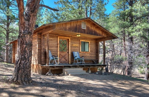 Weston Cabin | Rejuvenating bald eagle cabin with Shower Jacuzzi