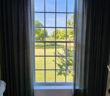 England House | Relax in a Pecan Orchard with Starlink Internet!