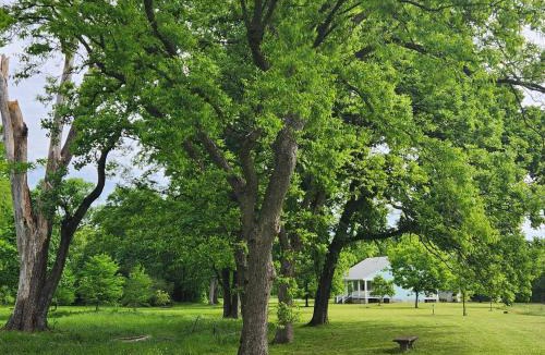 England House | Relax in a Pecan Orchard with Starlink Internet!