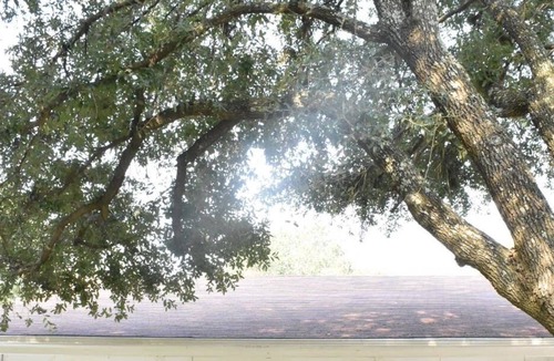 Royse City Cottage | Remodeled 3br/2ba cottage in quiet neighborhood