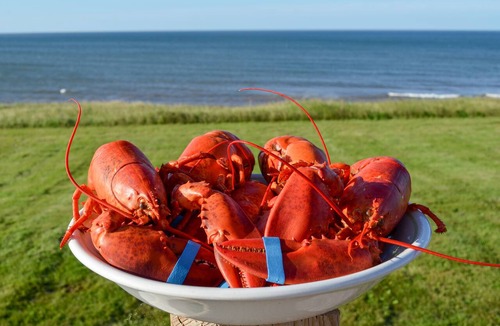 Anglo Rustico Cottage | Riverview Cottage on Green Gables Shore