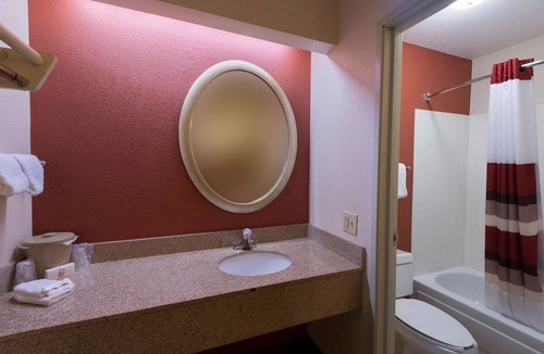 North San Antonio - SAT Hotel | San Antonio Relaxing Room: Comfortable, Cozy & Pet-Welcoming