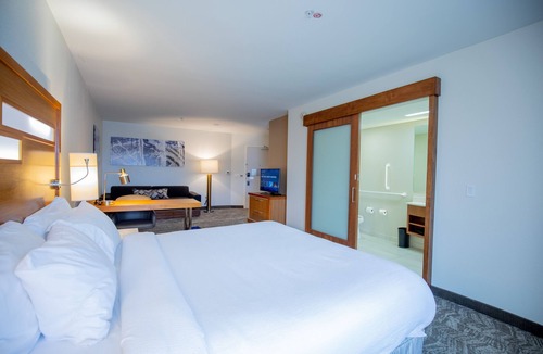 Gonzales Hotel | SpringHill Suites by Marriott Baton Rouge Gonzales