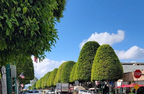 Glendora Apartment | Studio - An Easy Stroll to the Glendora Village