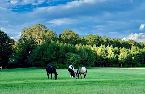 Jackson Cottage | Superstar Cottage near St. Francisville, LA at Southern Cross Bucks Preserve