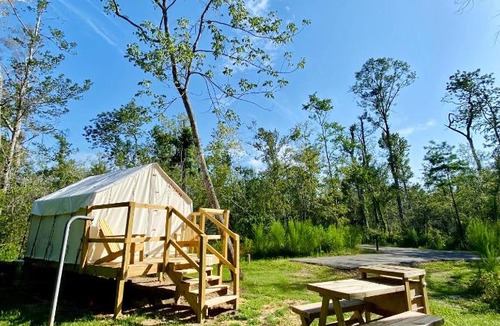 Springfield Other | Tentrr - Louisiana Tickfaw State Park - Woodland G - Single Camp