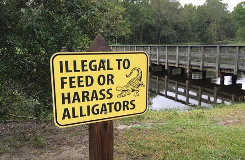 Mandeville RV Rental | Tentrr State Park Site - Louisiana Fontainebleau State Park - Pond View F - Sing