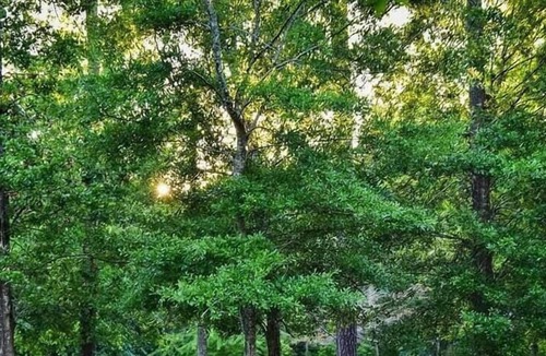 Mandeville RV Rental | Tentrr State Park Site - Louisiana Fontainebleau State Park - Pond View F - Sing