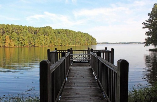 Zwolle Other | Tentrr State Park Site - Louisiana North Toledo Bend State Park - Hilltop I - Single Camp