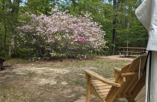 Saint Landry RV Rental | Tentrr State Park Site - Louisiana Chicot State Park - Site C - Double Camp