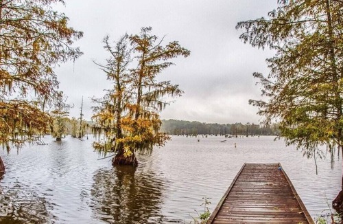 Saint Landry RV Rental | Tentrr State Park Site - Louisiana Chicot State Park - Site F - Single Camp