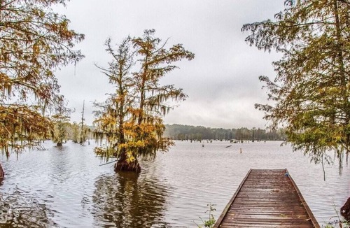 Saint Landry RV Rental | Tentrr State Park Site - Louisiana Chicot State Park - Site H - Single Camp