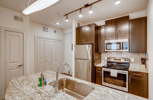 North Burnet Apartment | The Bindel: 30+ nights The Domain Pet Friendly!
