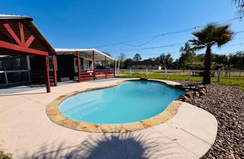 Pearland House | The Blue Oasis - Palm & Pool Retreat