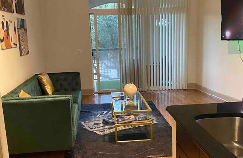 Texas Medical Center Apartment | The Money Hou$e