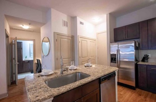 Texas Medical Center Apartment | This is Houston- Peaceful Poolside - Very close to NRG, Med Ctr, Downtown