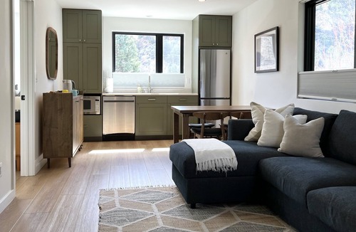 Carbondale Apartment | Tranquility Base, Modern One-Bedroom Apartment