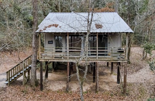 Nacogdoches Cabin | Treehouse - A cabin in the canopies at Stag Leap Cabins!