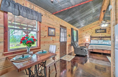 Ozark Cottage | Updated Studio Cabin in Ozark w/Yard & Mtn View