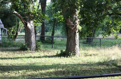 Weatherford Cottage | Upscale Living Quarters For 2, In A Stone Barn On A Horse Ranch, King Bed,