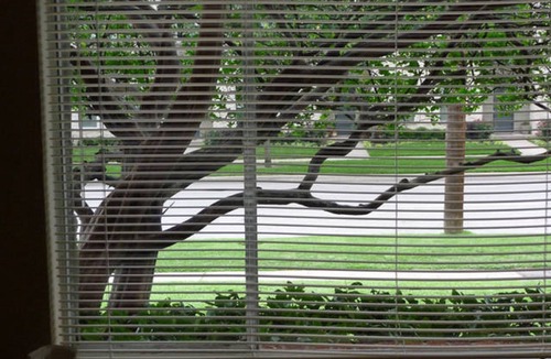 Knox - Henderson Apartment | Uptown Dallas - Bright Studio 1A, WiFi, Parking, Near Restaurants & Shops & Safe