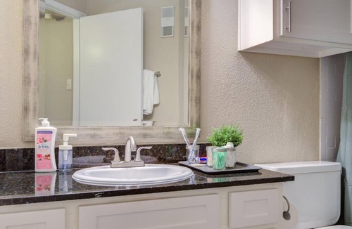 Astrodome Apartment | Your Luxurious Getaway in TX Medical Center