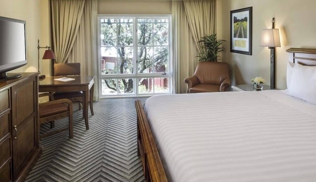 1-Bedroom Suite at a 4⭐️ Hotel