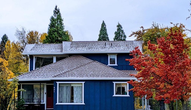 4 Elements House:Central, Views-Every Rm, AC, Pets in Mount Shasta