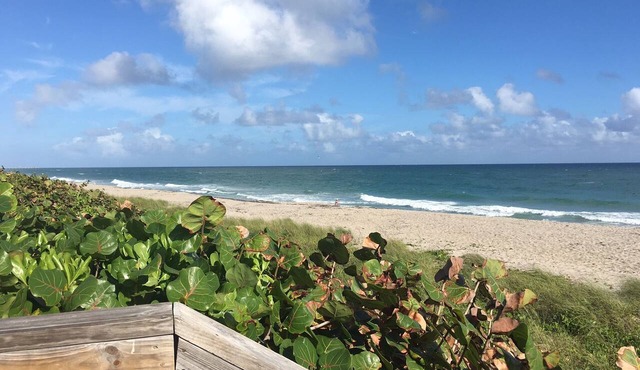 A Stone's Throw to the Beach or Lounge By Your Private Pool in Juno Beach