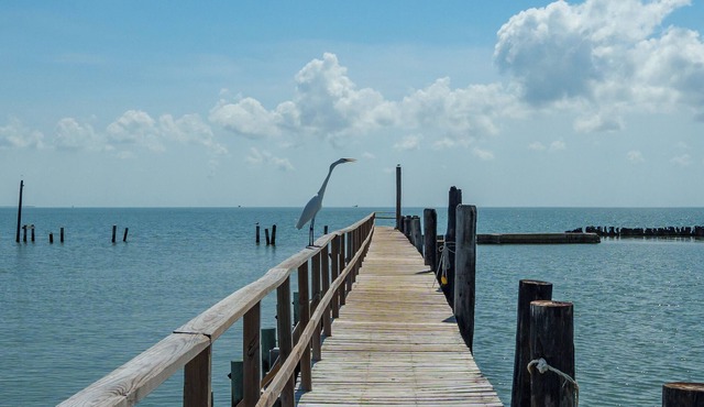 Bayview Paradise | Dog Friendly + Pool & Pier Access!