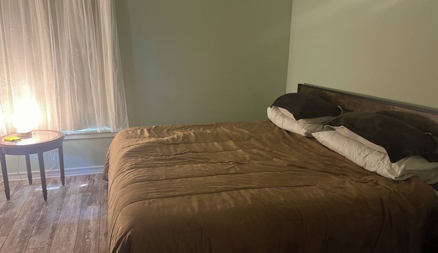Beautiful 4 bedroom 3.5 bath Home 5 minutes from Down Town Austin.