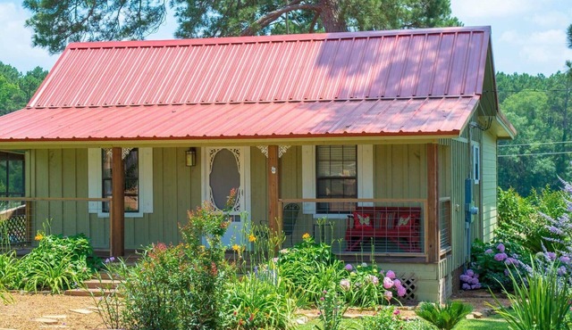 BEAUTIFUL CABIN IN THE DAVY CROCKETT NATIONAL FOREST WITH POOL ON PROPERTY