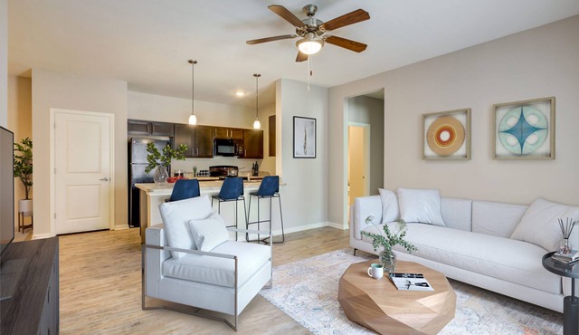 Beautiful Houston Apartment