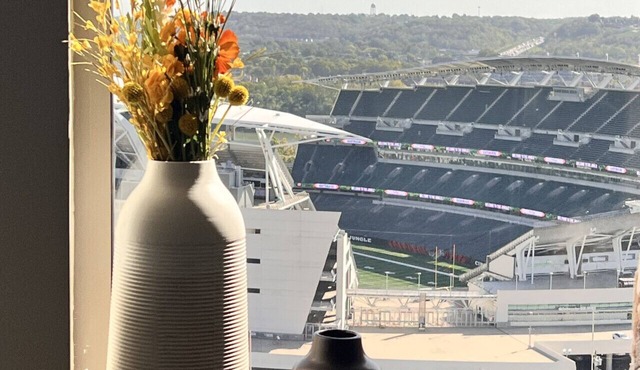 Bengals, King Bed, Free Parking in Cincinnati